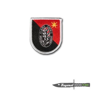 6TH Engineer Flash and Insignia